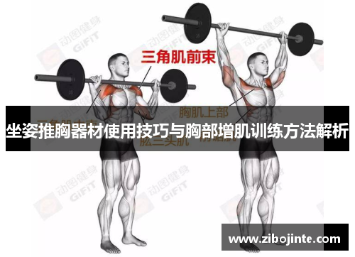 坐姿推胸器材使用技巧与胸部增肌训练方法解析