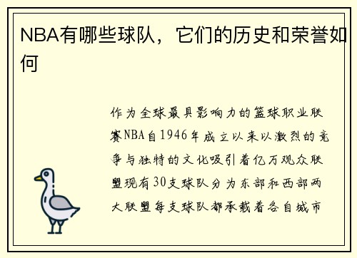 NBA有哪些球队，它们的历史和荣誉如何